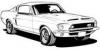 1967 Mustang Guy